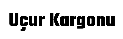 uçur kargonu havayolu kargo taşımacılığı logosu